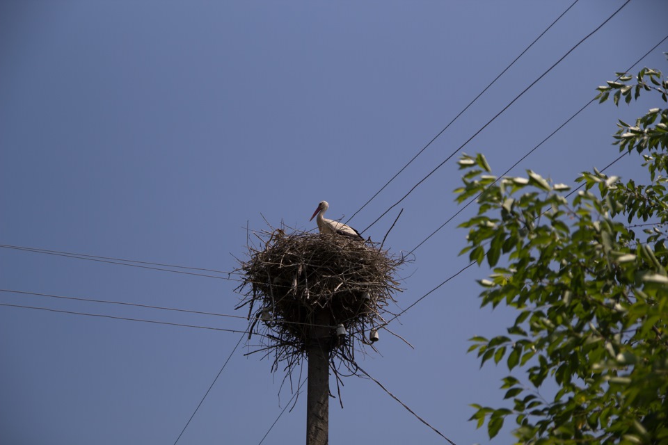 Фото вихідного дня 4
