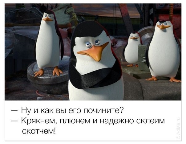 готуюся до тонування 1