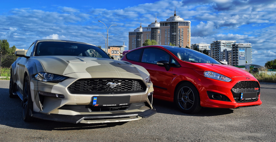 Вії Fiesta mk7 4