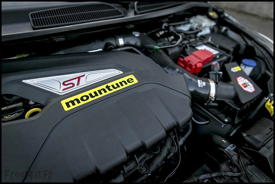 Mountune 215HP kit 1