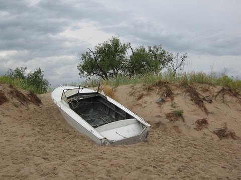 На море! 3