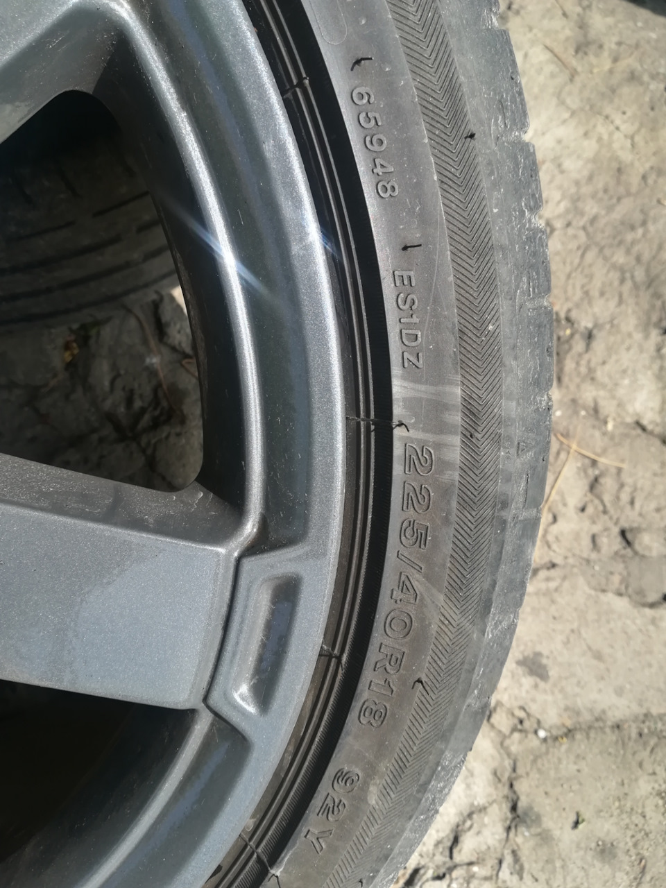 Продаж котків ford r18 3