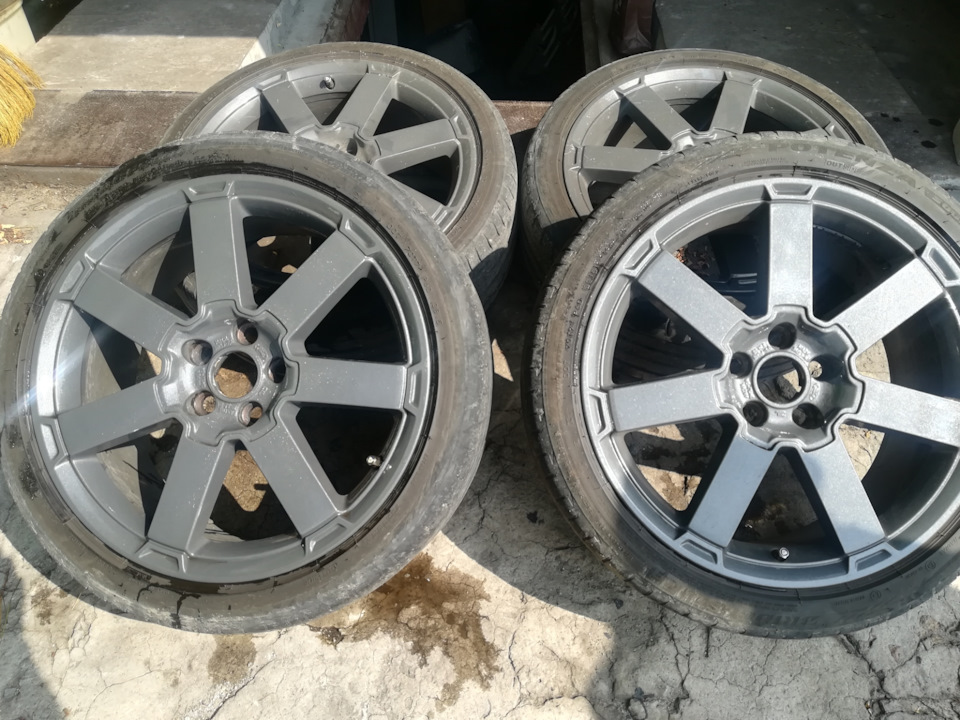 Продаж котків ford r18 2