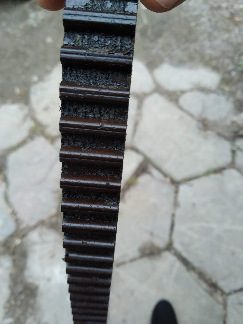 Заміна грм 1.0 ecoboost 1