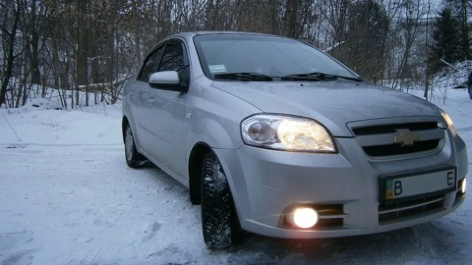 16.02.2013р Приїхав і закохався.