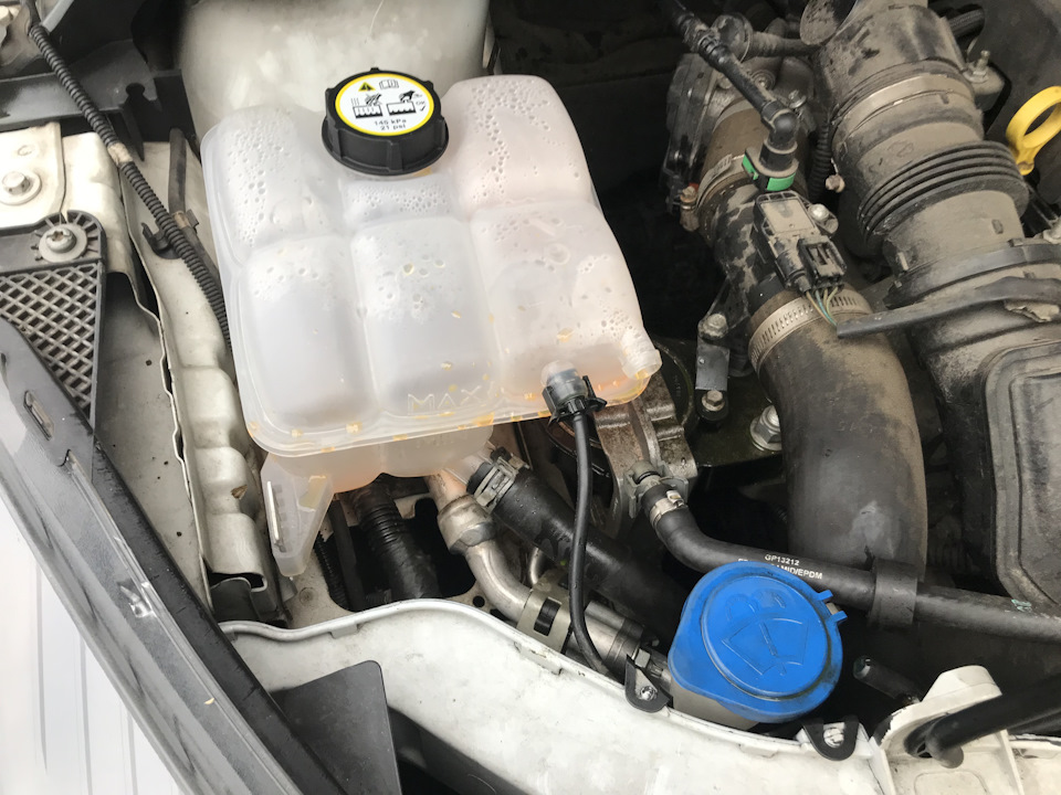Відходить охолоджувальна рідина Ford Focus Ecoboost 1.0 (2013) / ГБЦ 2