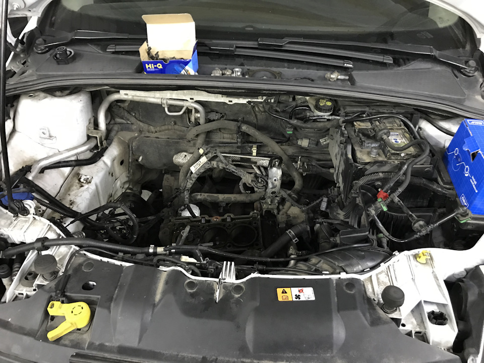 Відходить охолоджувальна рідина Ford Focus Ecoboost 1.0 (2013) / ГБЦ 4