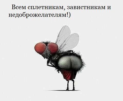 Глохне 1