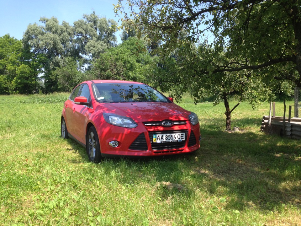 Дракоша відпочиває у бабусі... 2