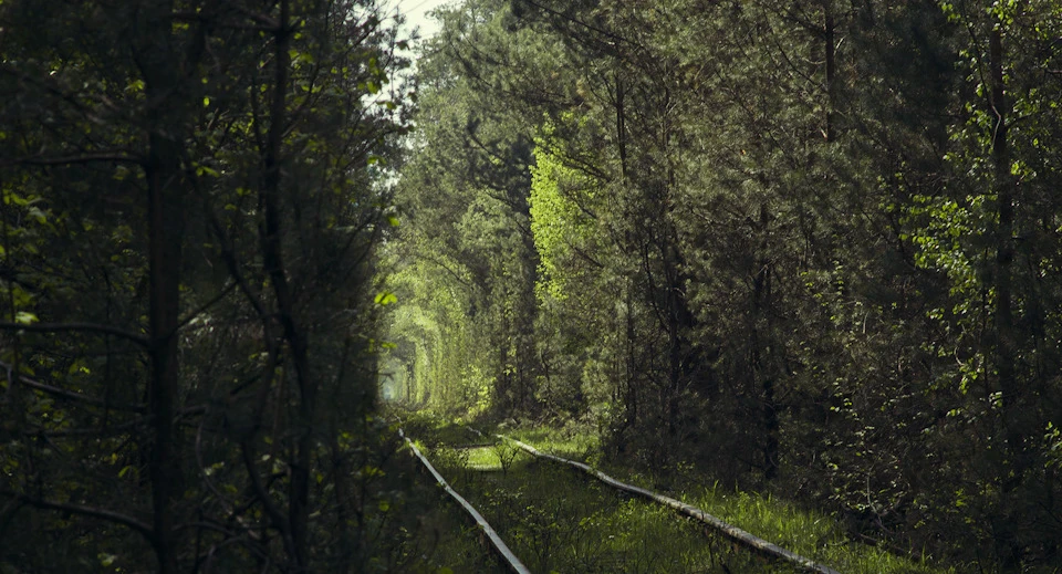 Покотушки по карпатах, або Моя жінка - відьма. Фотозвіт