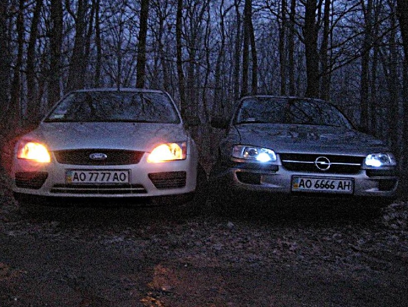 Focus VS Omega ... на дачі 3