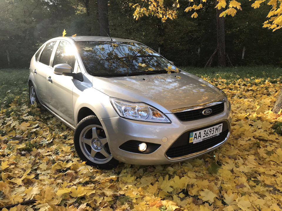 Осень 2018 3