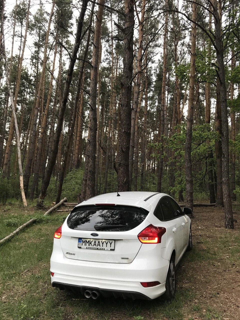 Кастомні номери на авто 1