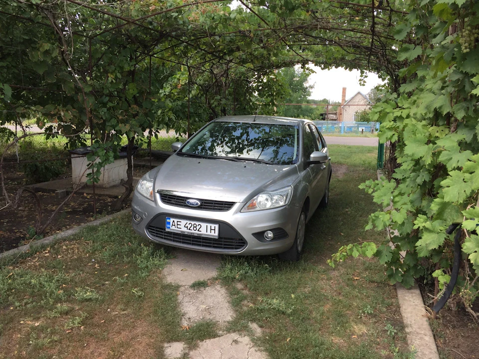 Поїздка до села, риболовля