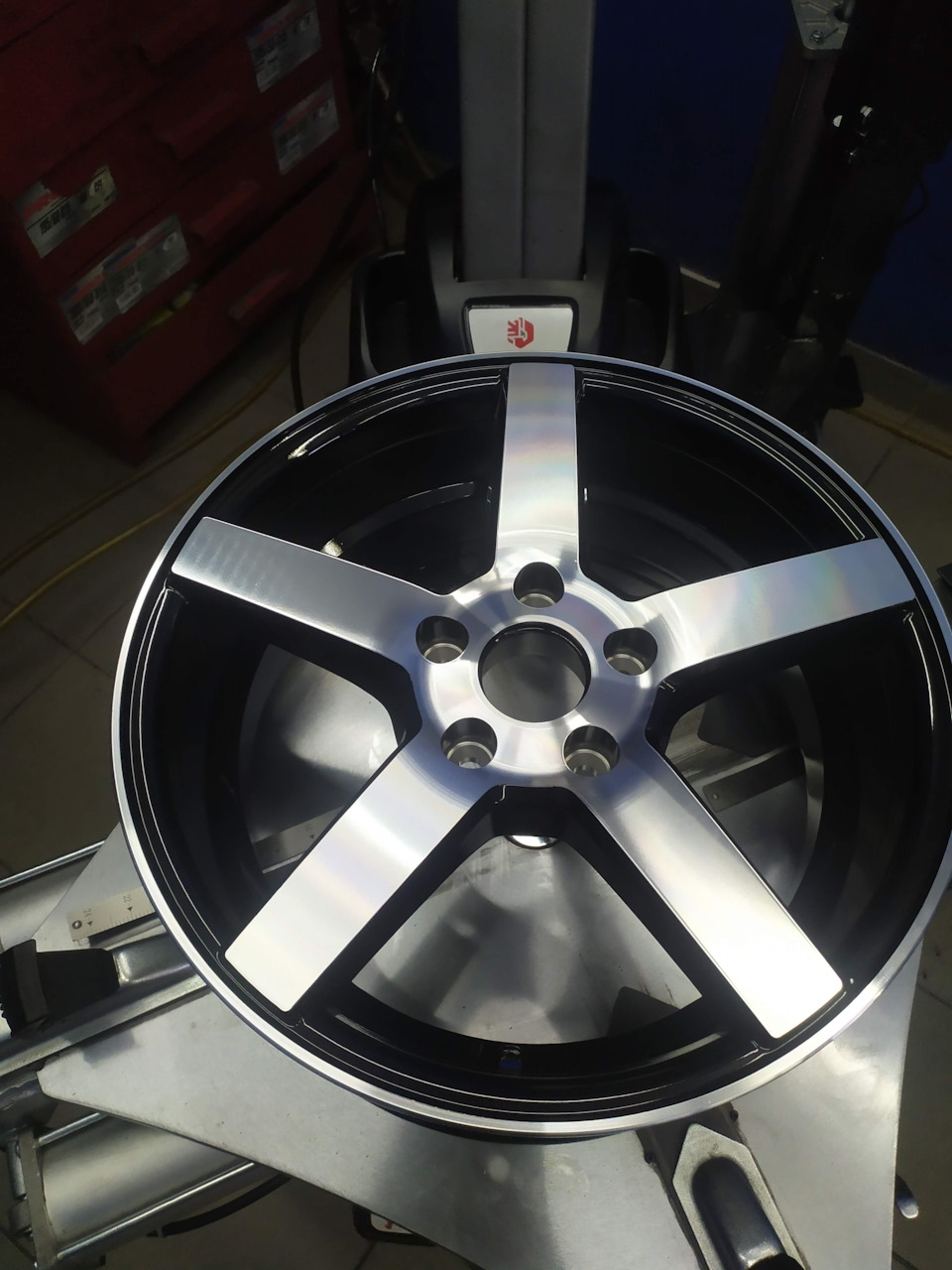 #16 Vossen 3