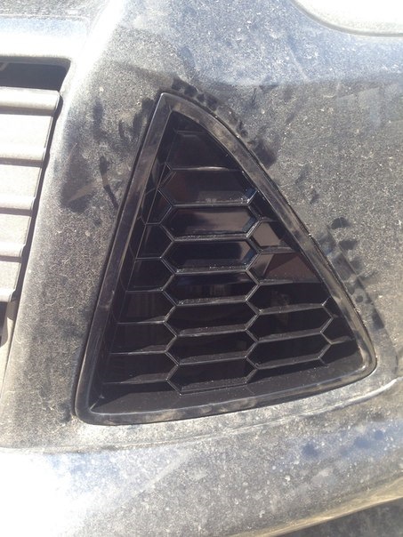Грати бампера Zetec S 2