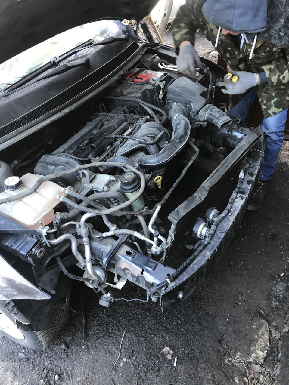 Фенікс ч.1 2