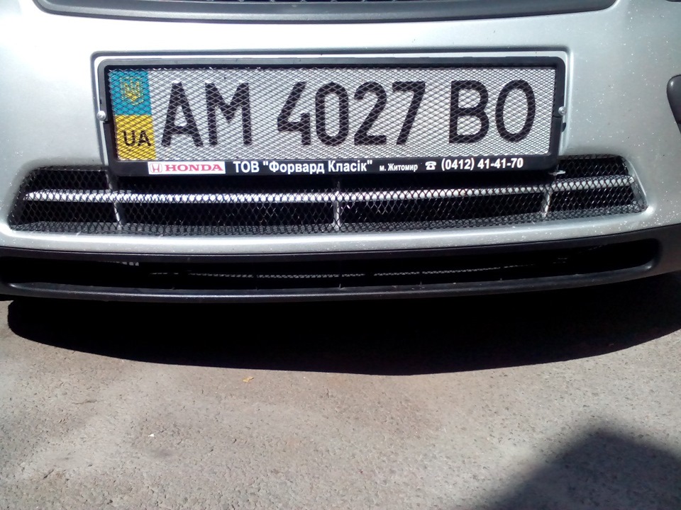 Сітка в бампер 2