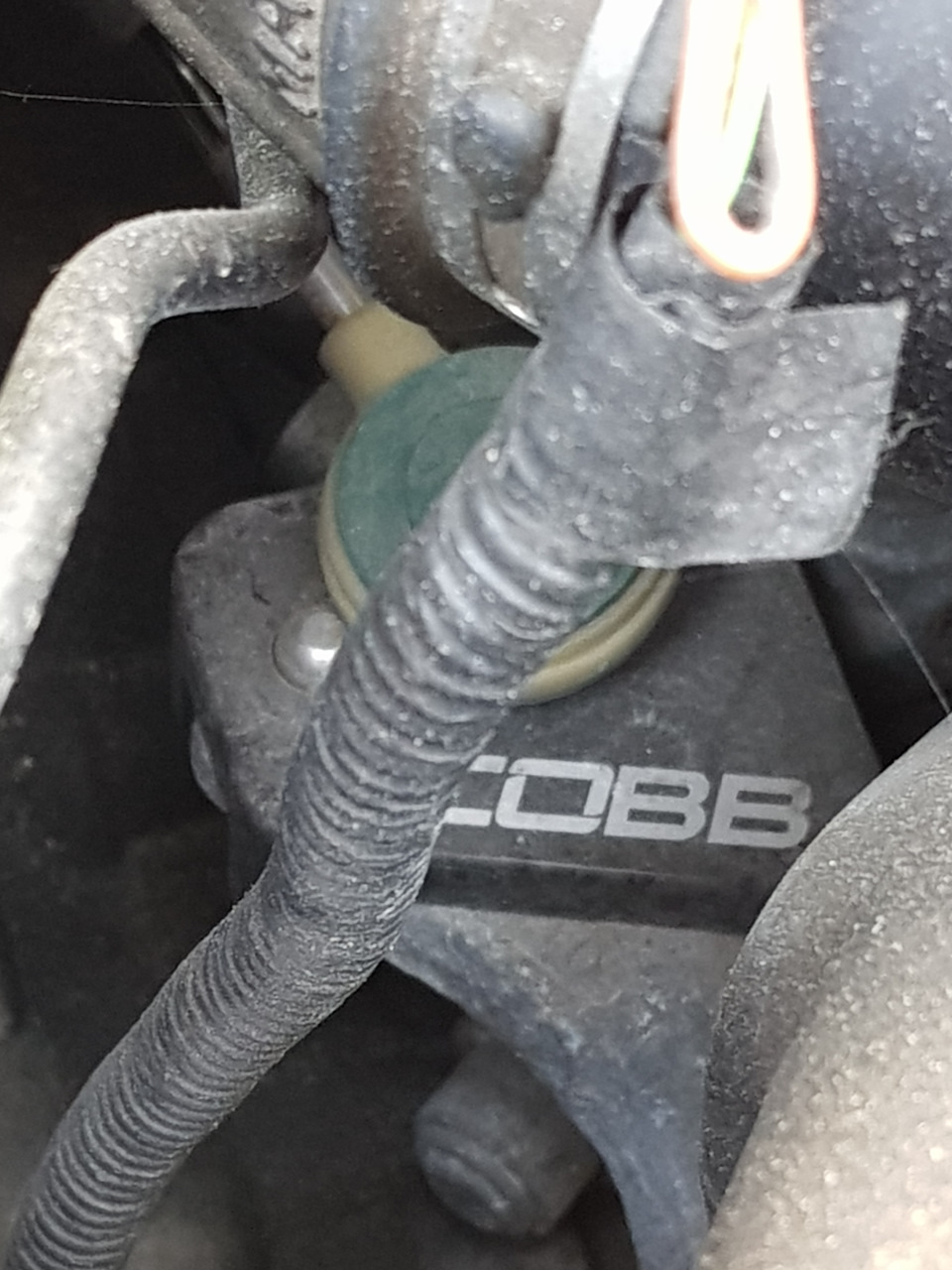 Cobb Short Shifter 2