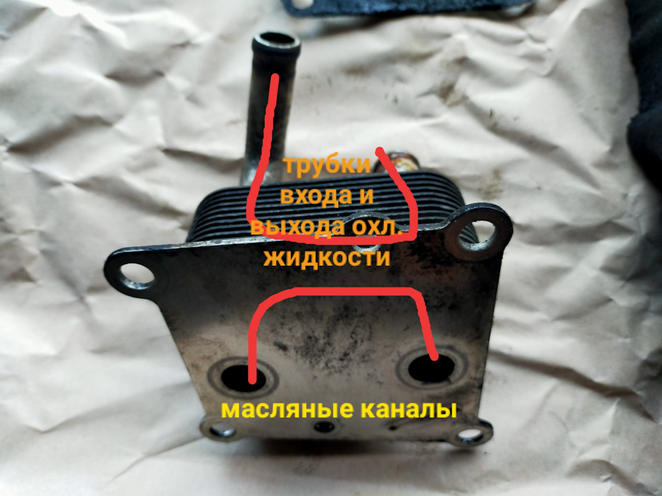 Олія в системі охолодження Ford Focus 1 1.8 diesel 2