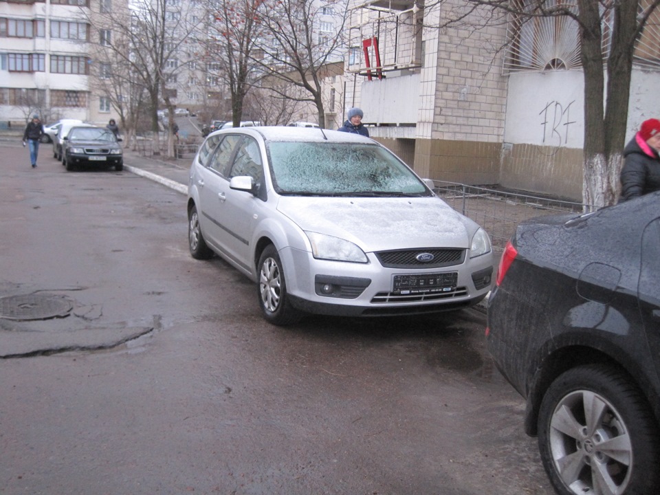 Ранковий сюрприз . 3