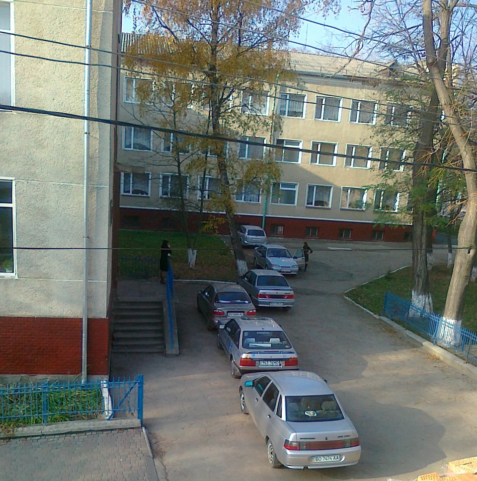 Колір! 1