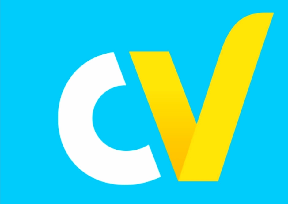 CarVertical 1