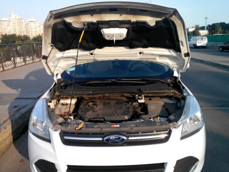 Моя думка про Ford Kuga 5
