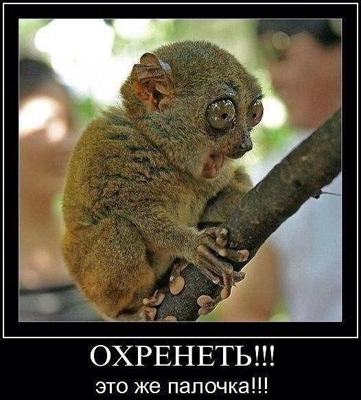 Килимок в багажник 2