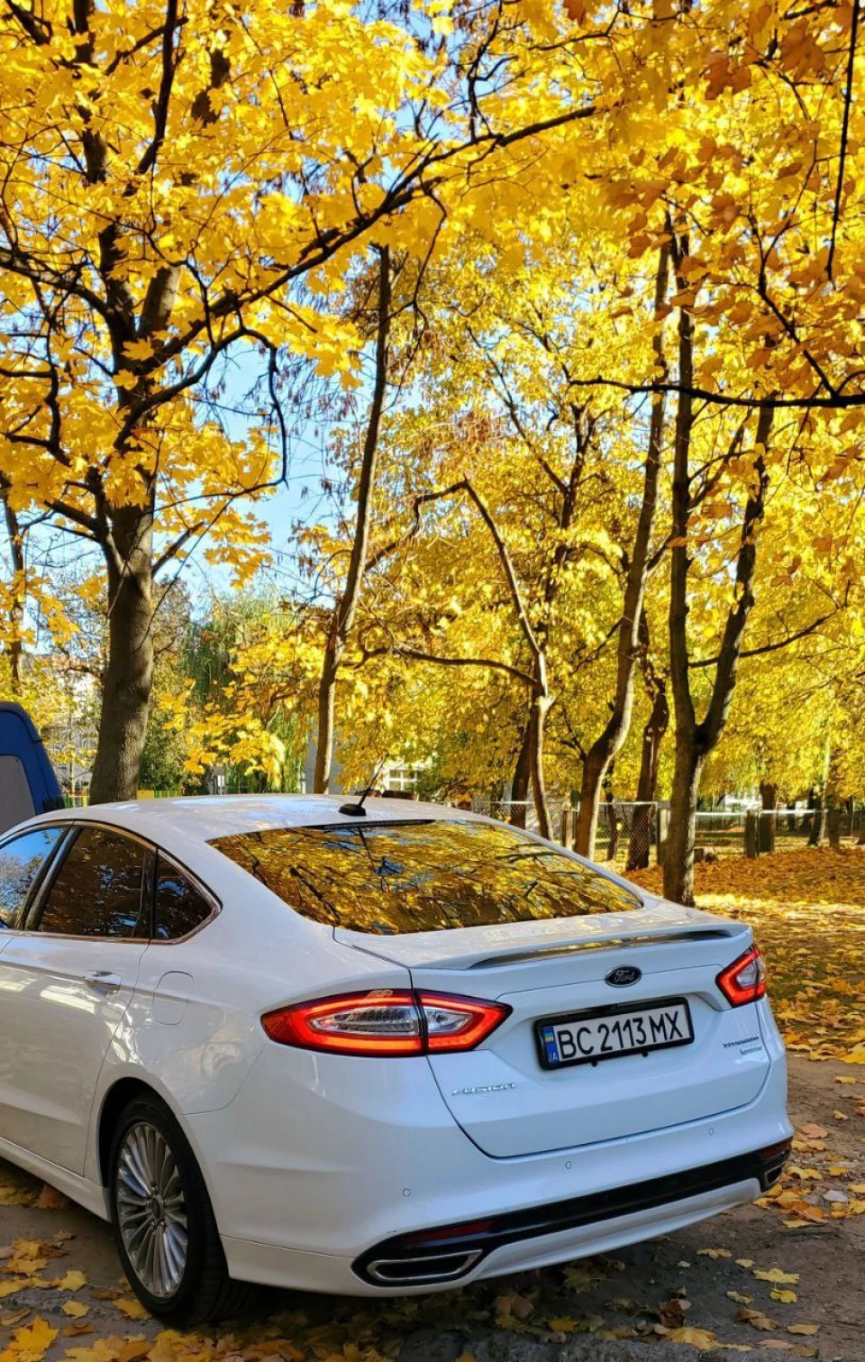 Хімчиста+полірування