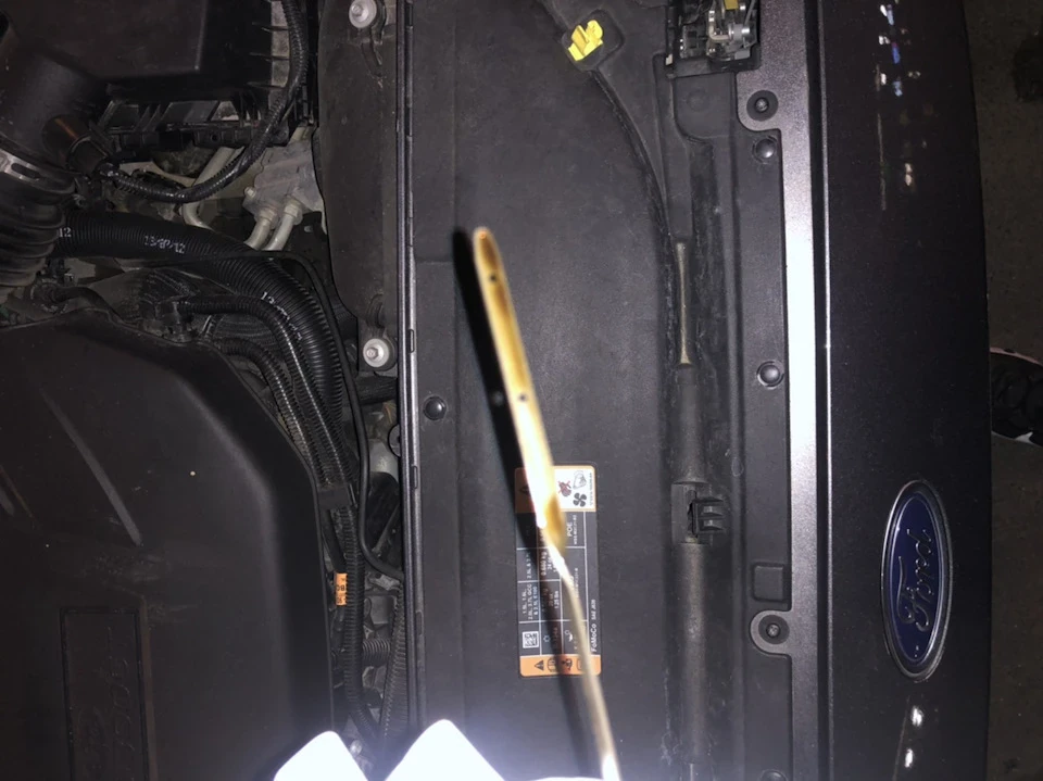 Oil check. (Не скинули комп'ютер після проходження ТО) рівень в нормі)