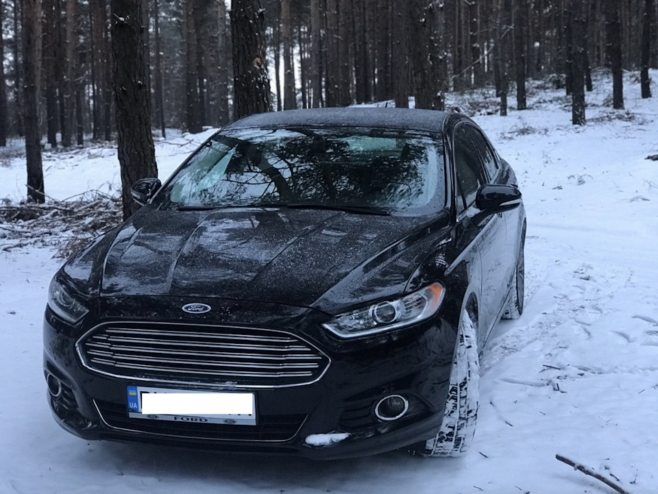 Фото в сніговому лісі. 1