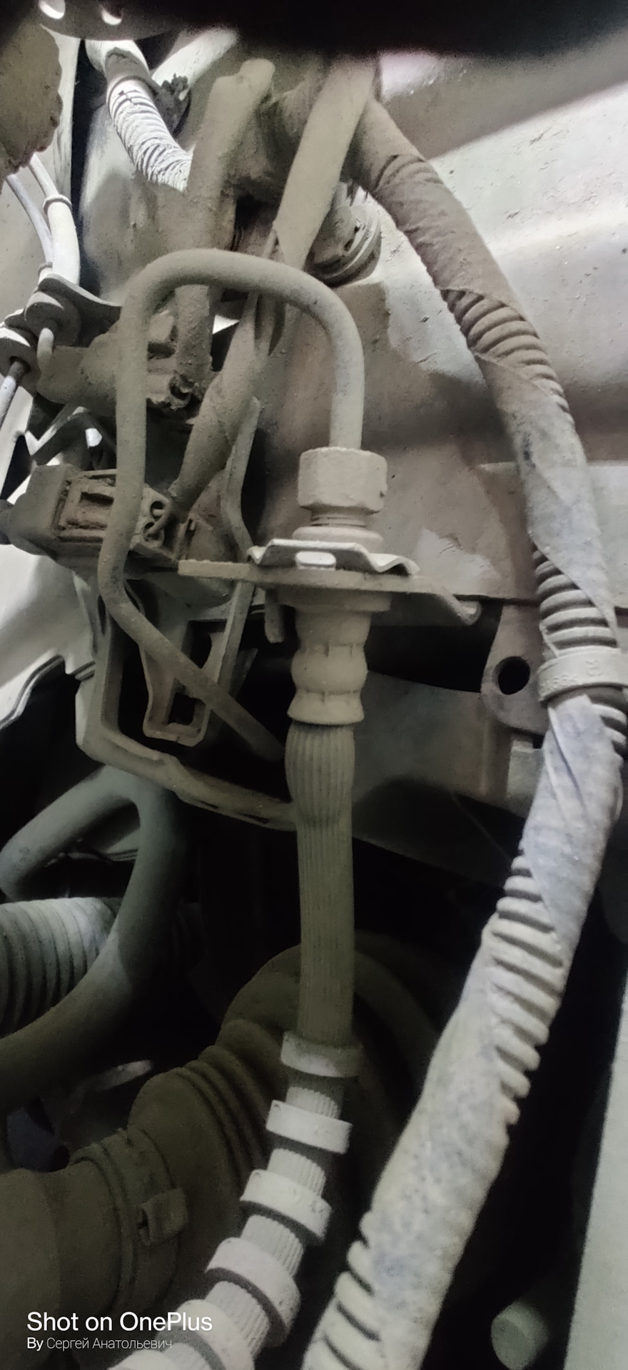 Brembo Z18 6-ти поршнів + Гальмівний диск 357 мм 4