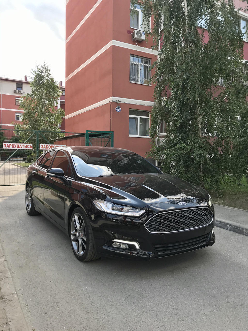 Грати Vignale 2
