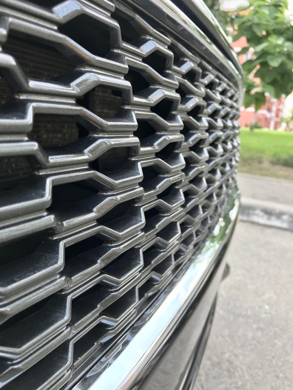 Грати Vignale 3