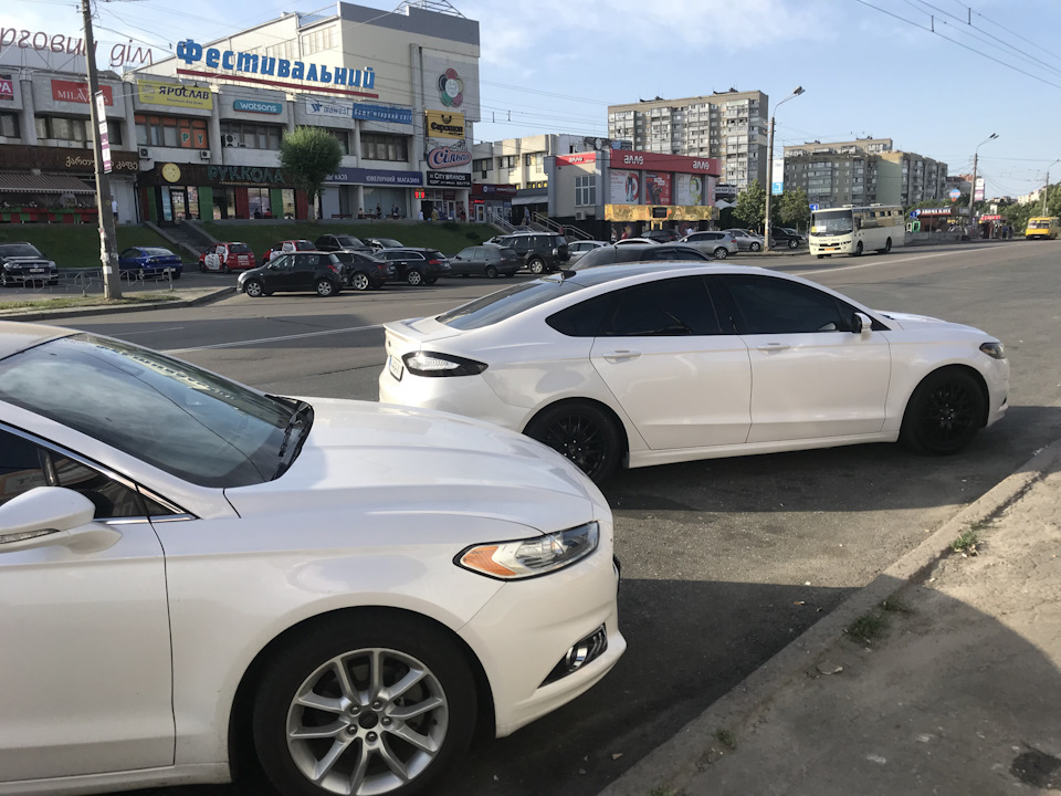 Зустріч близнюка :-) 2