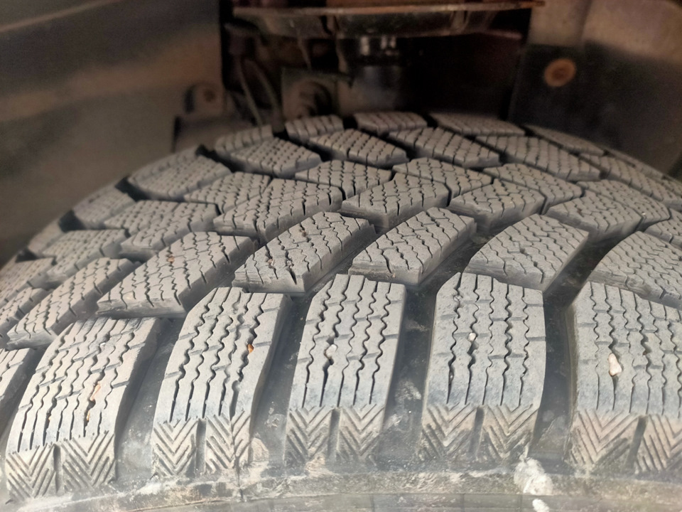 Перевзувся на зиму як і всі. 3