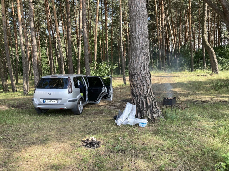 Невелике фарбування 19.07.2021