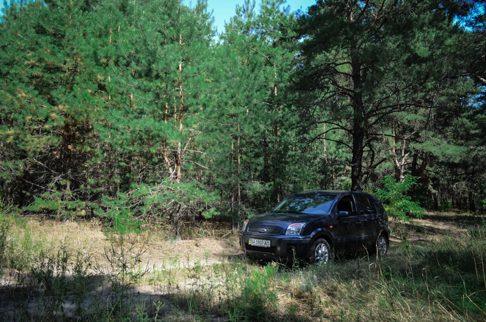 Відпочинок на природі + фото із соснового лісу) ч.1 4