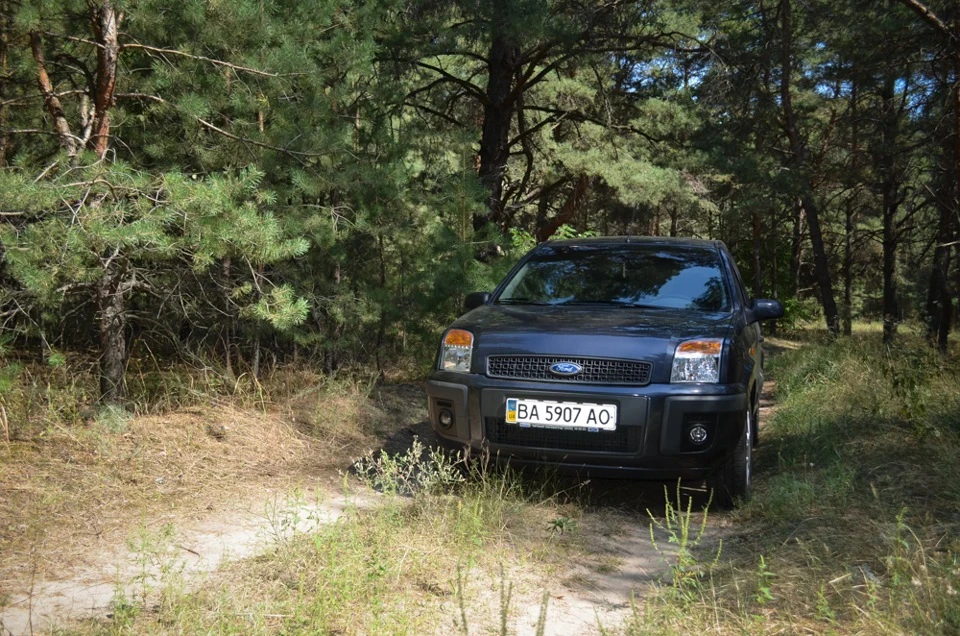 Відпочинок на природі + фото із соснового лісу) ч.1