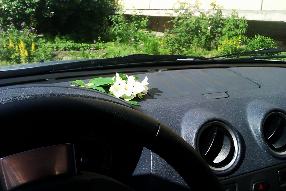 Силікон - крута річ) 2