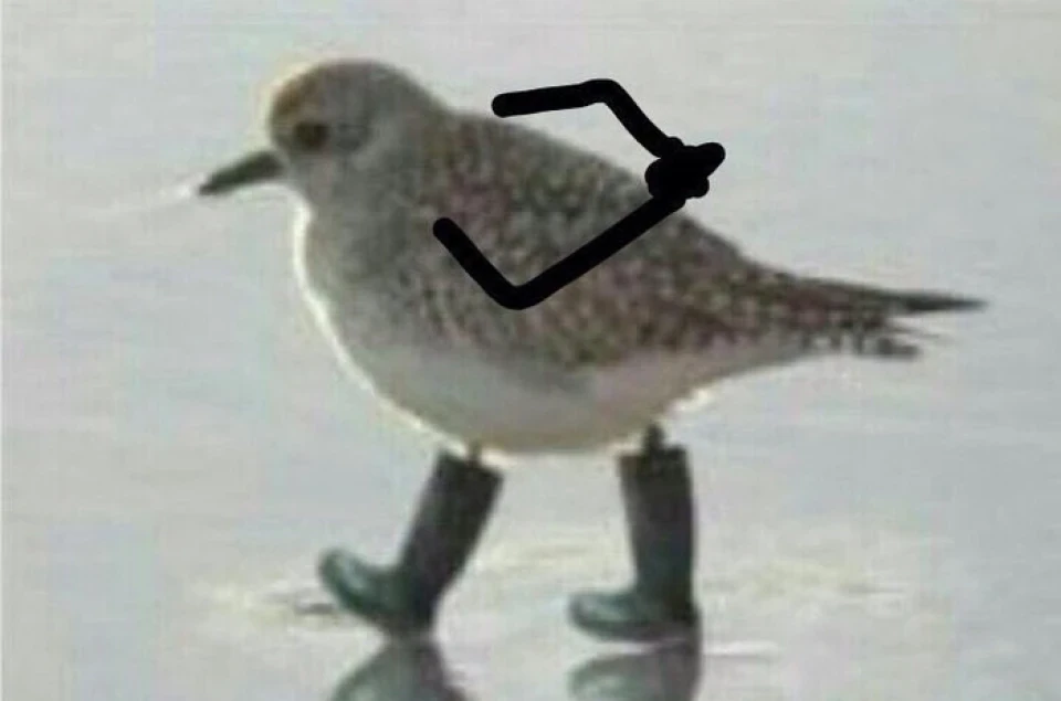 Заіржавів кінцевик дверей водія