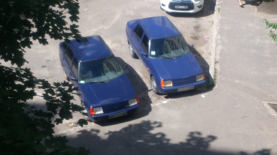Зачароване місце 1
