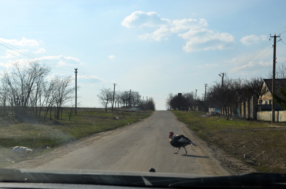 Поїздка до Токівського водоспаду 3