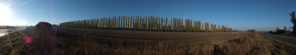 Поїздка в Умань... 2