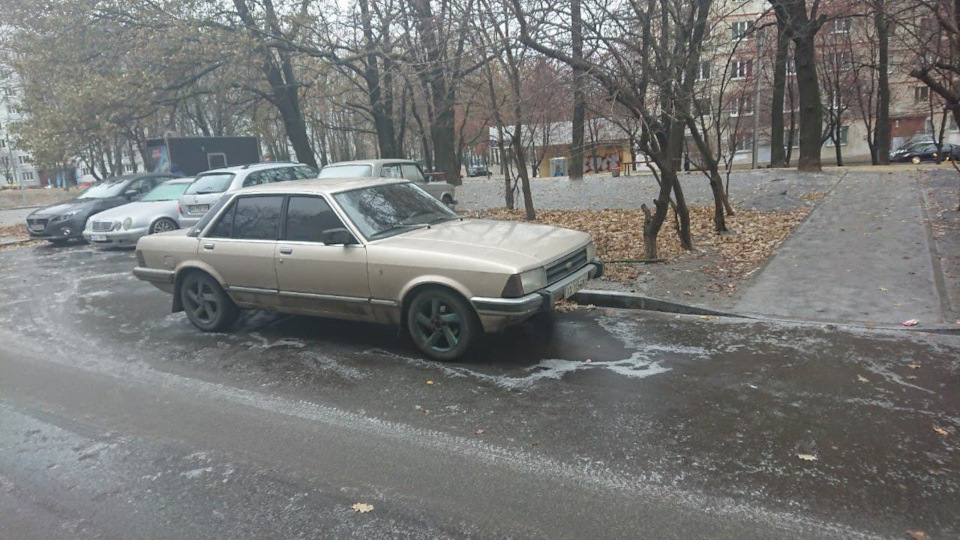 У пошуках гранади 1