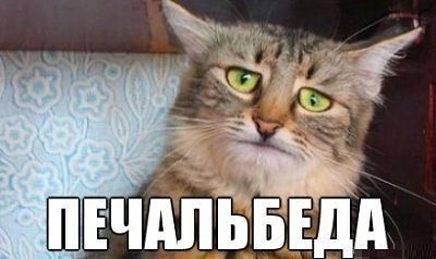 На злобу дня. Хто ж дасть відповідь? -___- 1