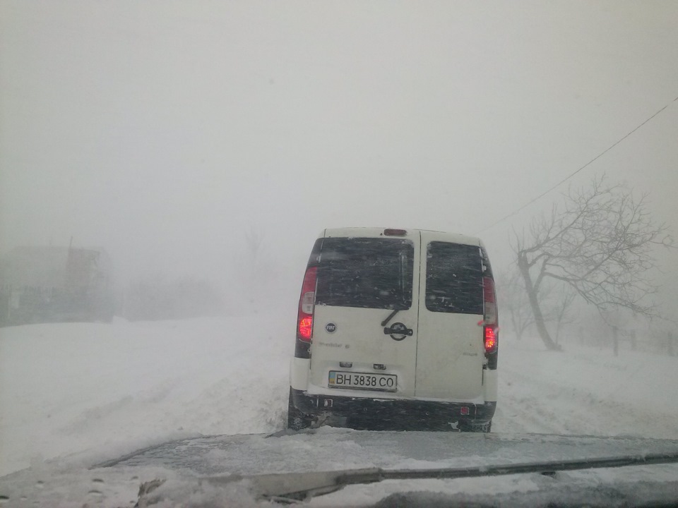 Сніжок застав раптово... 1