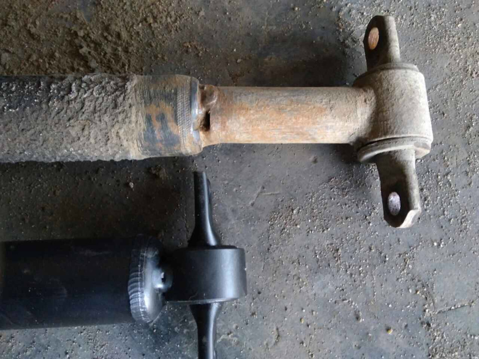 Хвостик і по дрібницях. 5