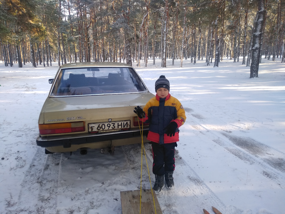 Зима ліс 4